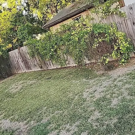Peaceful Home/Fast Wi-Fi/Pet Friendly/Etc.